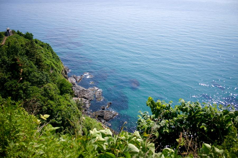 HelloDslr tweet picture