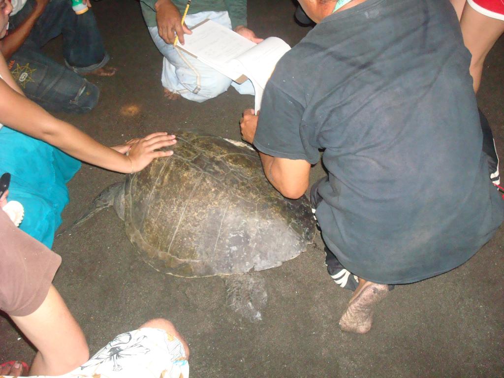 CEMA-USAC tweet media