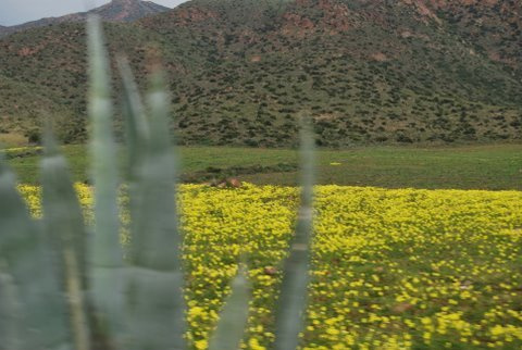 mjherrada's tweet photo. nijar bonita...Parque Natural:: http://t.co/UiXjWSf