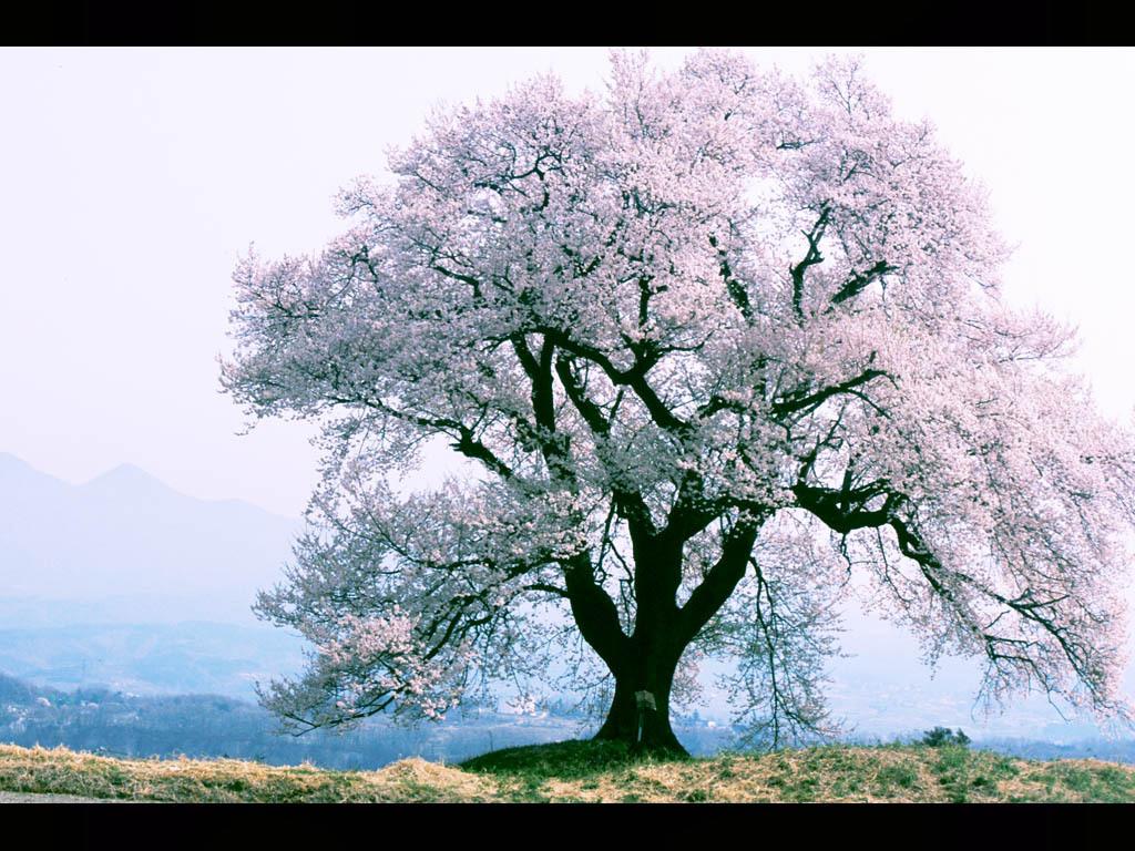 심우석 (@hbdrnws) on Twitter photo 