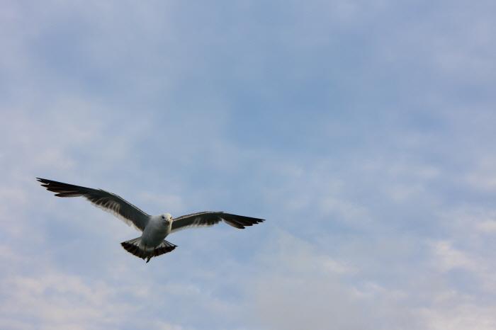 HelloDslr tweet picture