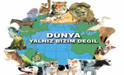 hayvansever's tweet photo. Hayvansever Dostlarımızı aramızda görmekten mutluluk ve onur duyarız... http://t.co/5pCXDzc