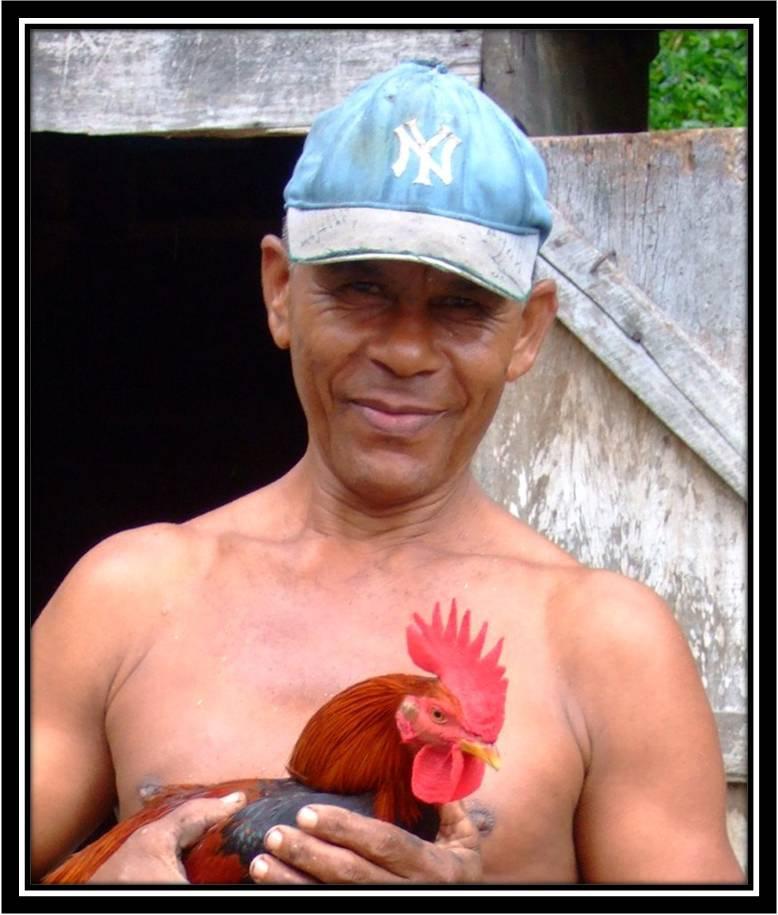 HaciendalaMami's tweet photo. Imágenes de Finca la Mami; Orgánica y Sostenible - Paraíso/ Dominican Republic. http://t.co/BfC4Vlu