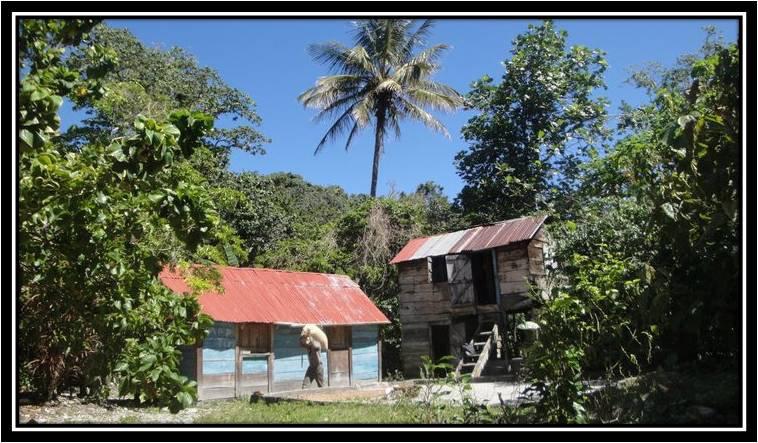 HaciendalaMami's tweet photo. Imágenes de Finca la Mami; Orgánica y Sostenible - Paraíso/ Dominican Republic. http://t.co/gYAroCg