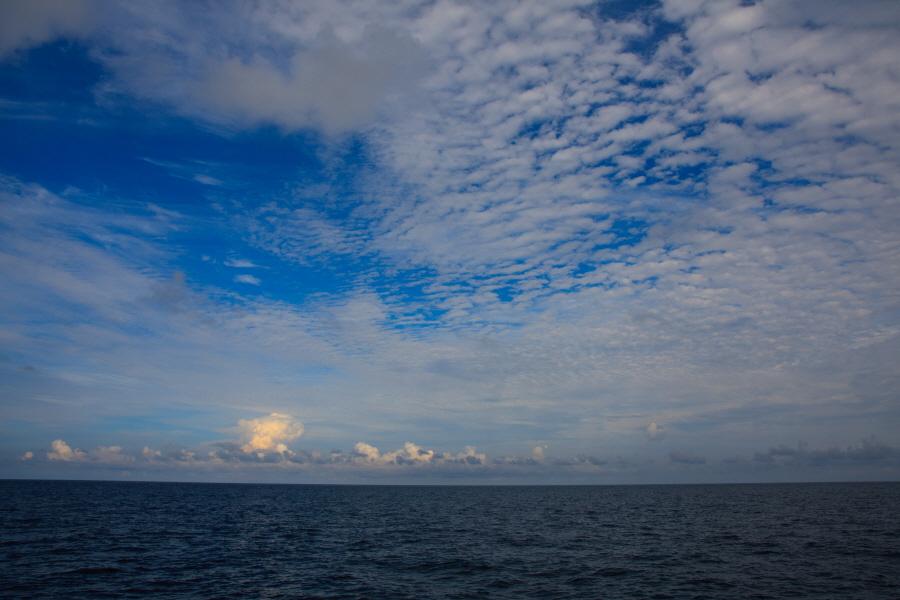 HelloDslr tweet picture