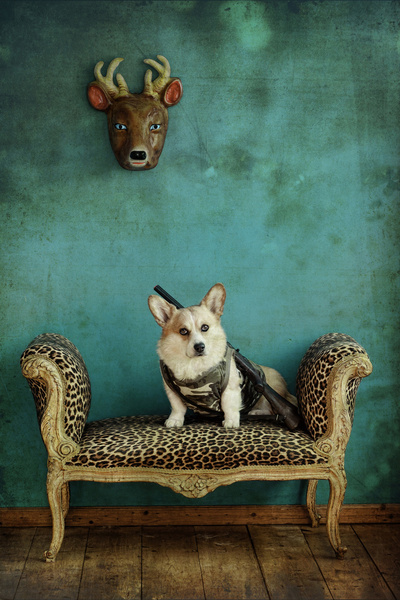 *BREAKING* As Gaddafi vows revenge on Western governments, Buckingham Palace increases its security.