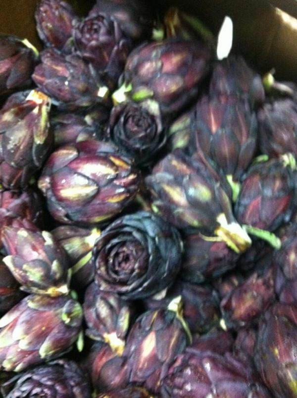 Two40SouthChef's tweet photo. Picked up these organic purple artichokes at farmer's market this morn for @Two40South Restaurant & Wine Bar. http://t.co/C5ne9c2
