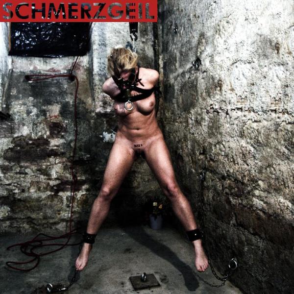 [MEMO 244]  Schmerz und Geilheit sind direkt verknüpft  #bdsm #debrisx