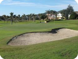 Forster Golf Course tweet media