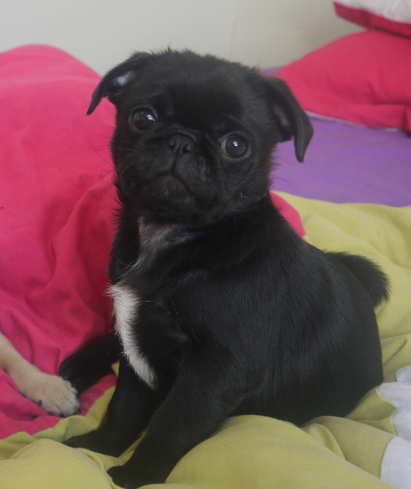 Clare Snow tweet media