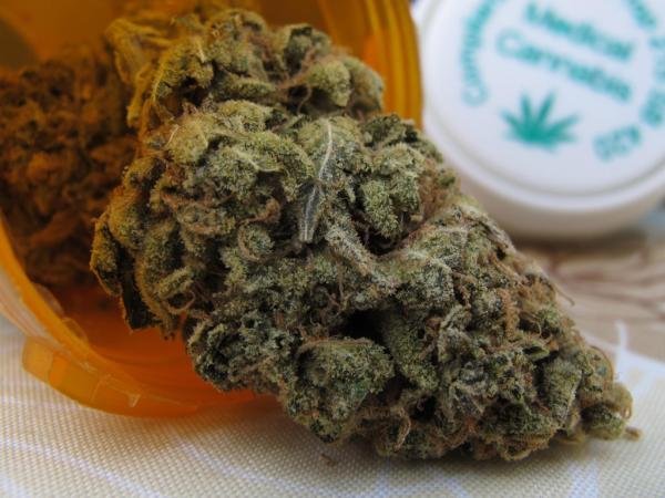 Auburn916's tweet photo. today's #gramOFtheDAY (9/7) is Chemesis {Chem D x (Chem Sister x Acapulco Gold) - donation $15 ... #91LIFE http://t.co/pUoVHJi