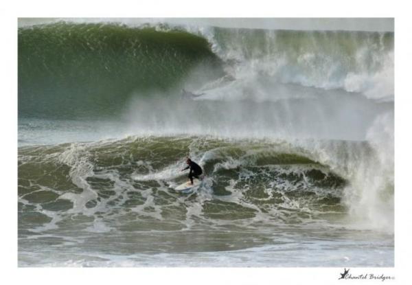 Tavcor Motor Group tweet media