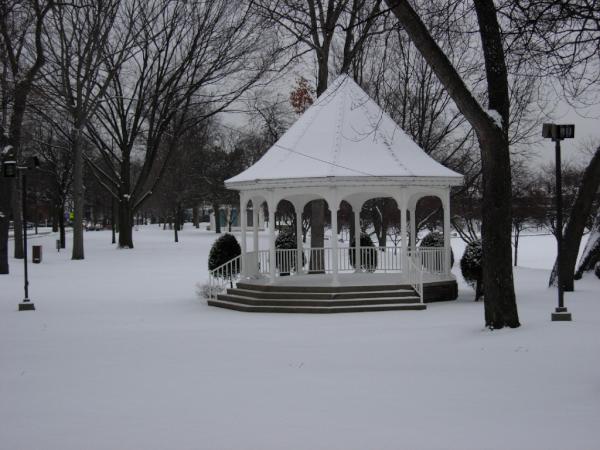Gazebos are a wonderful all-year round LIFELONG structure for your garden. See website for more pics. #Ireland #Garden