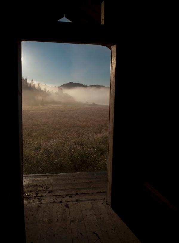 Tom Knudsen tweet media