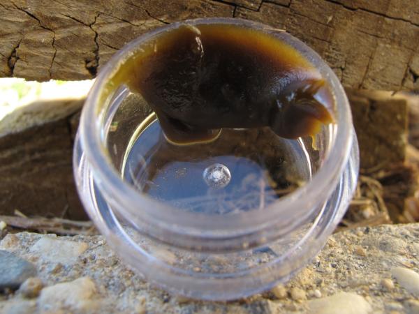Auburn916's tweet photo. Today @ Auburn ... $5 off Green X Wax! ($40 donation) #smooth #tasty & #highlyTHERAPEUTIC :) http://t.co/OEqTDTe
