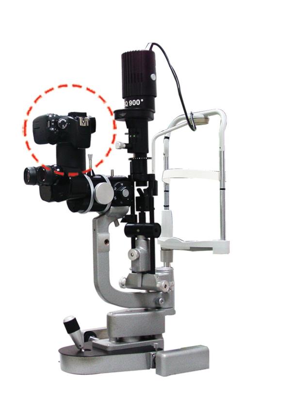 UMI-fundus tweet media