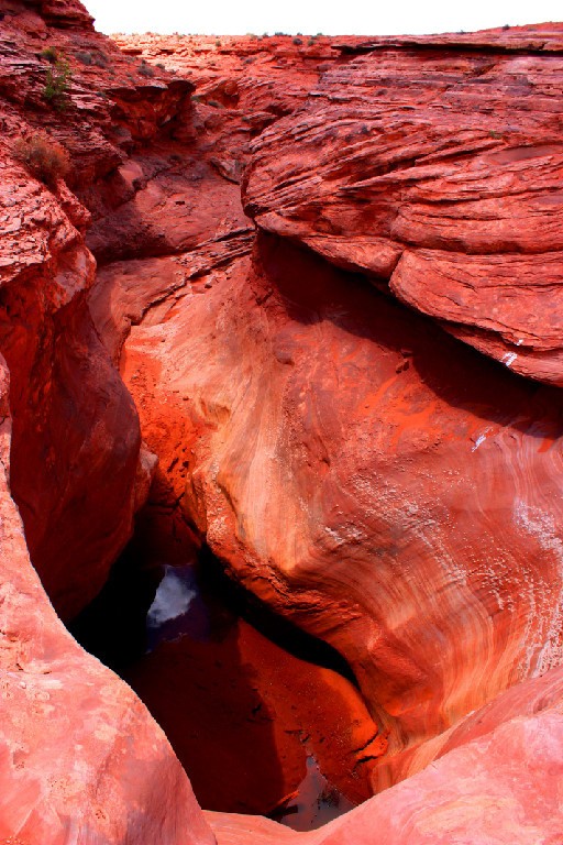 Slickrock100 tweet media