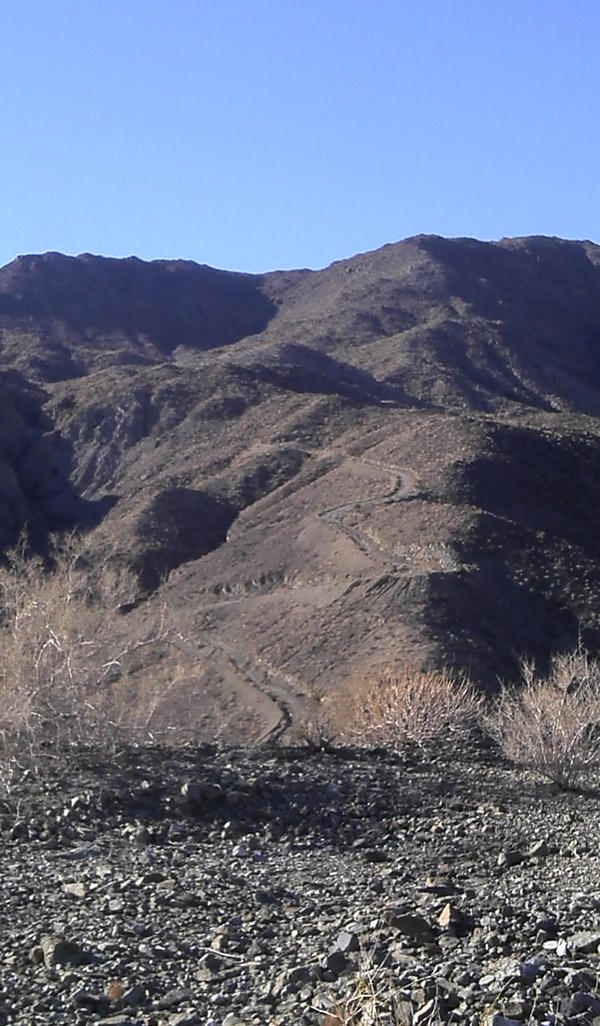 goldrunner's tweet image. Palm Springs EPIC...Tis the season on my Tallboy!