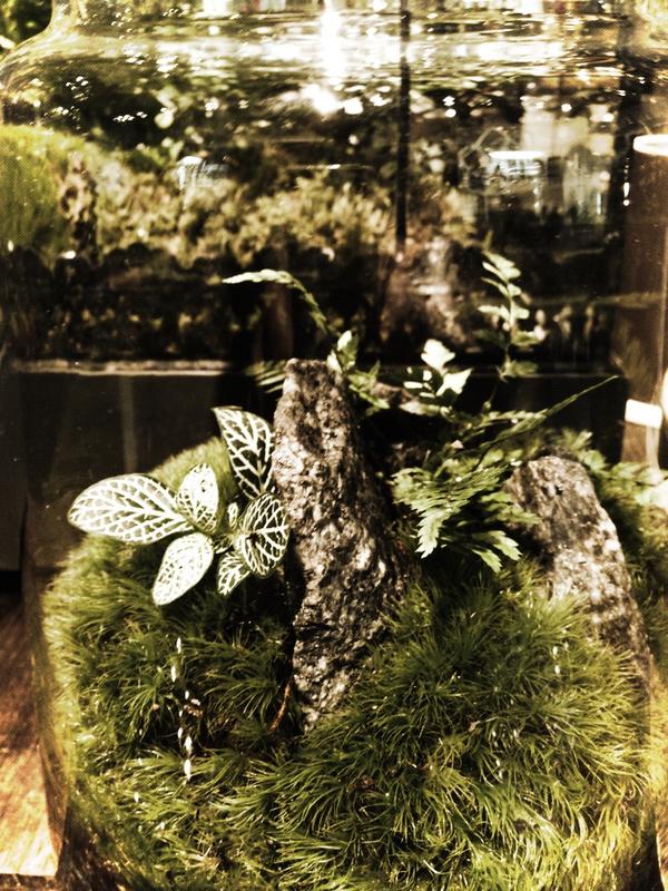 Gardenatl's tweet photo. http://t.co/s4iOw0L1