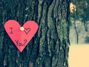 _liam26__ tweet picture