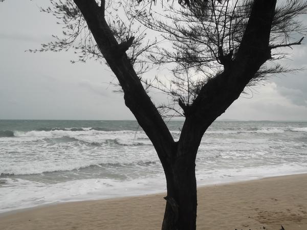 supertramphints's tweet image. aahhhhhhhhhhh Cambodia Otres Beach chillling nice