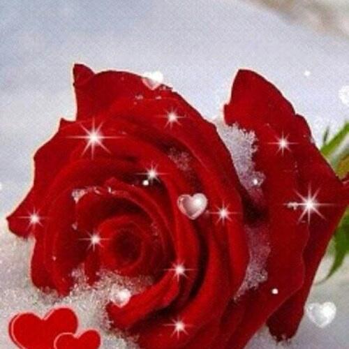 bayan243 tweet picture