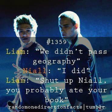 5SOSCalumHood's tweet photo. Niall...:D http://t.co/optHHSOJ