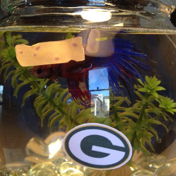 Hashtag the Fish (HashtagtheFish) Twitter