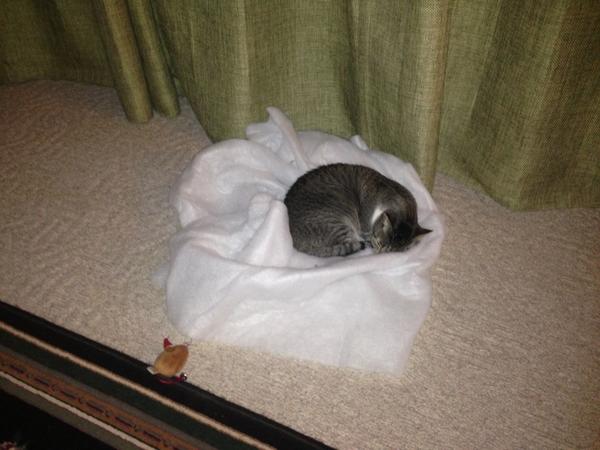 Edith_Maria_'s tweet image. 