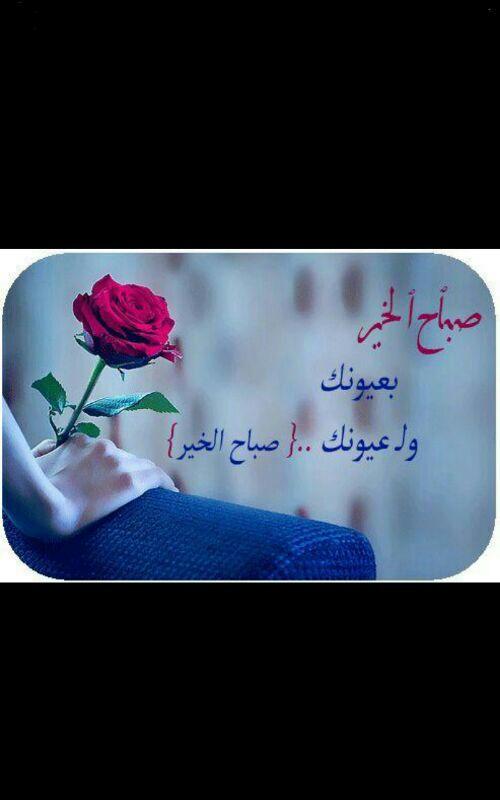 moh352012's tweet photo. @7di_56eraa http://t.co/meHvGPHK