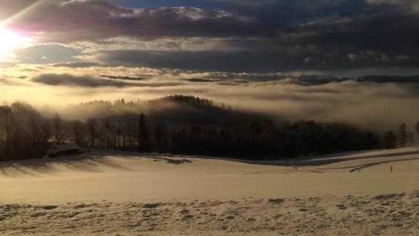 IdaaAndreassen's tweet photo. #nrkvinter morgendis i Nissedal http://t.co/BZpgN2AG