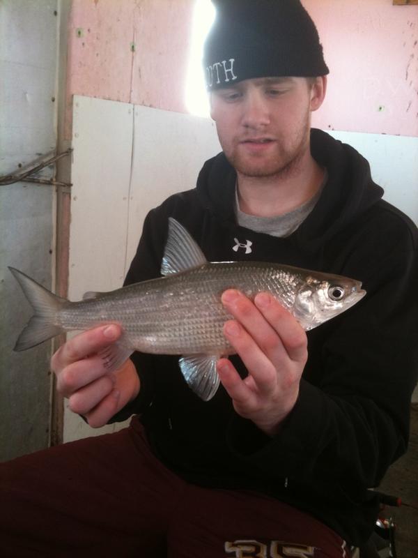 tsames6's tweet image. @Zbabyy35 what is this #afish