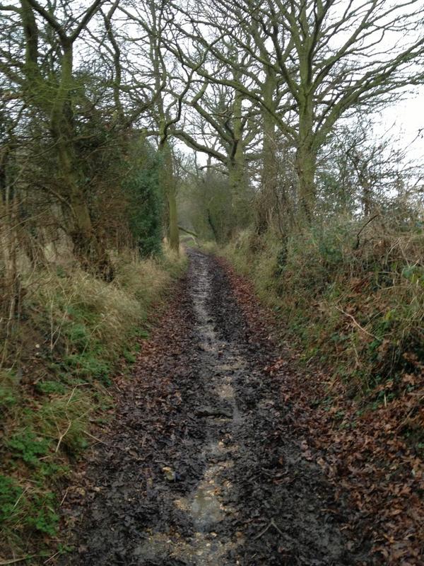 AdamMeakins's tweet image. Had myself a nice slow relaxed run today, 10miler off road, very moist underfoot #2stepsfwd #1stepback #runchat