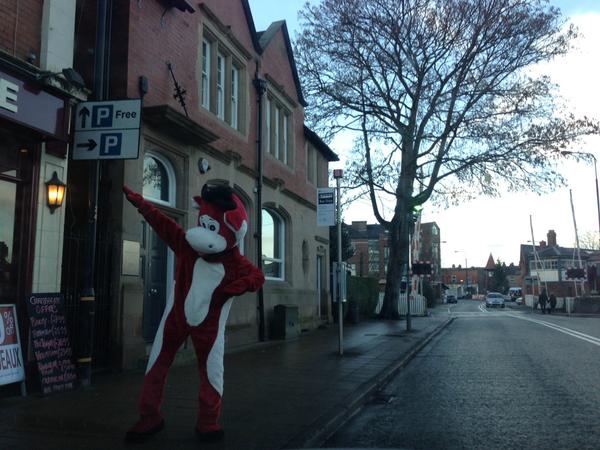 HaleProbs's tweet photo. Just one of those hungover Sundays where you bump into a cow in Hale #Moo #HaleProblems http://t.co/fjAgt6we