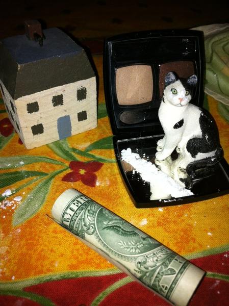 RealBusCat's tweet photo. Im .... Dreaming .... Of ... A white...:.... Christmas .,, with every Christmas car I write http://t.co/DiJpnCTh