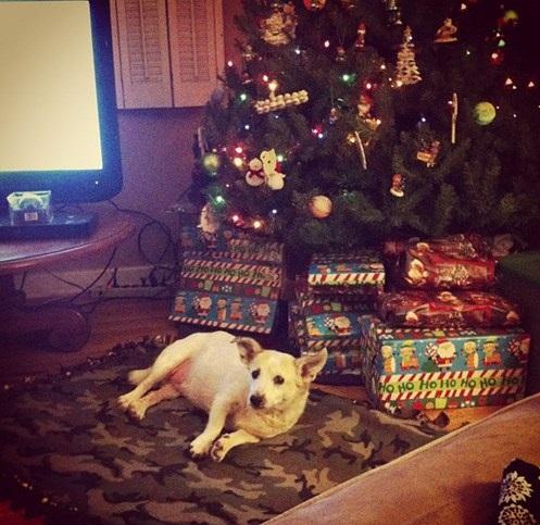 KATisKRAZY's tweet photo. Merry Xmas everyone <3 http://t.co/OeOFuy7I