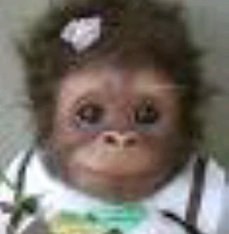 OfficialEMDacc's tweet image. Unyuuu bet:D"@fclmahiraemir: #AdminPict -adm1 fotonyaaa (ʃ⌣ƪ) http://t.co/yPv2KG3K"