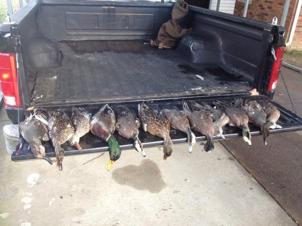 c_yoder8's tweet image. @bandednation nice limit for me and a buddy #wackNstack