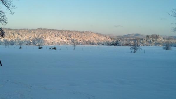 31Hog's tweet image. What im seein this mornin #BeautifulButCold