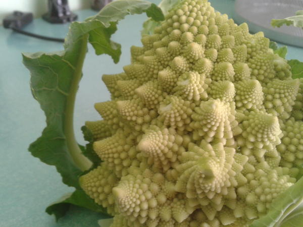 En ocasiones veo fractales