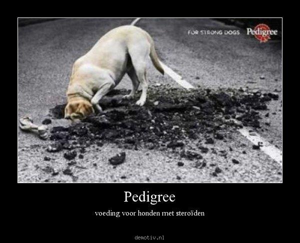 DemotivNL's tweet photo. Pedigree http://t.co/cmqHeucE http://t.co/y6mvMNey