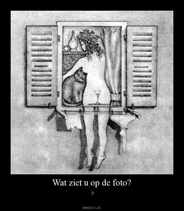 DemotivNL's tweet photo. Wat ziet u op de foto? http://t.co/ENsv1zRt http://t.co/Hk38w0Kg