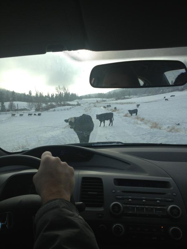 SmallTwnProbs's tweet photo. #smalltownproblems http://t.co/zVeQEAb8