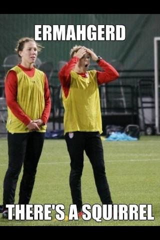 atotzke20's tweet image. @kohara19 #notasquirrel