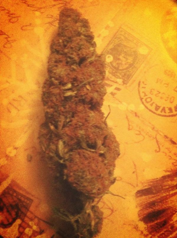 NewGenerationHi's tweet image. Doesnt this look amazing?