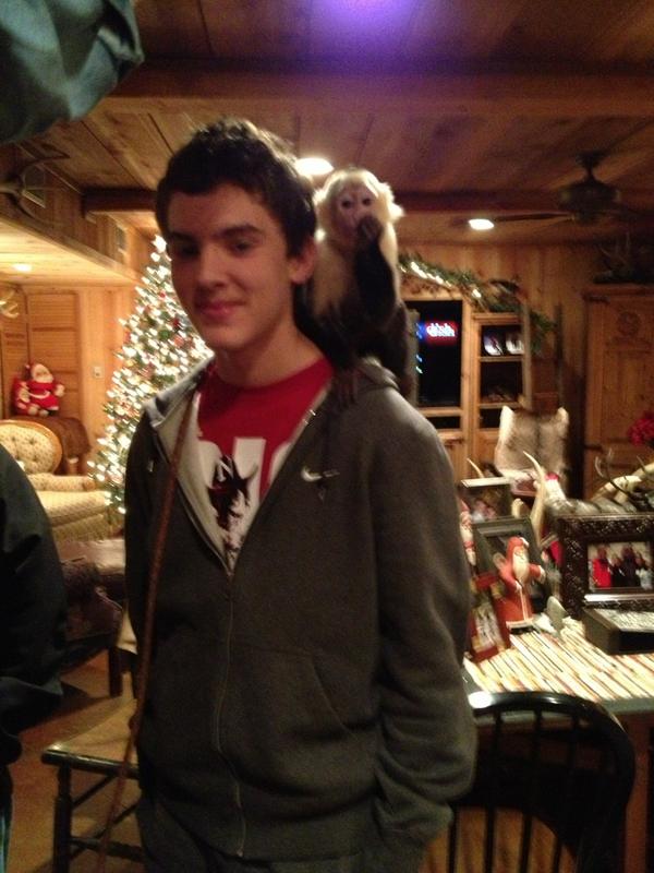 bradynthomas's tweet photo. look at this cute little Guy http://t.co/lO5Y91HD