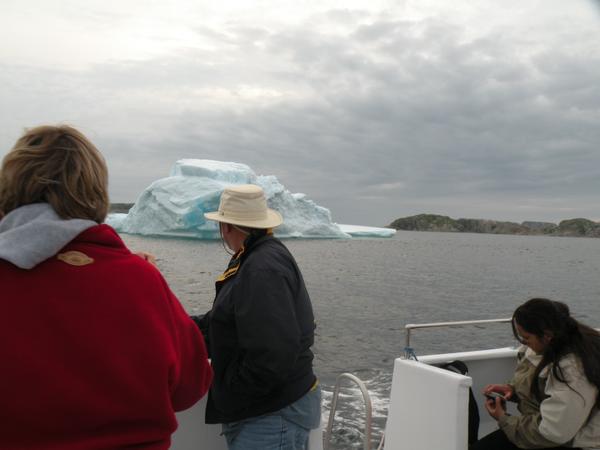 icebergcapital tweet picture
