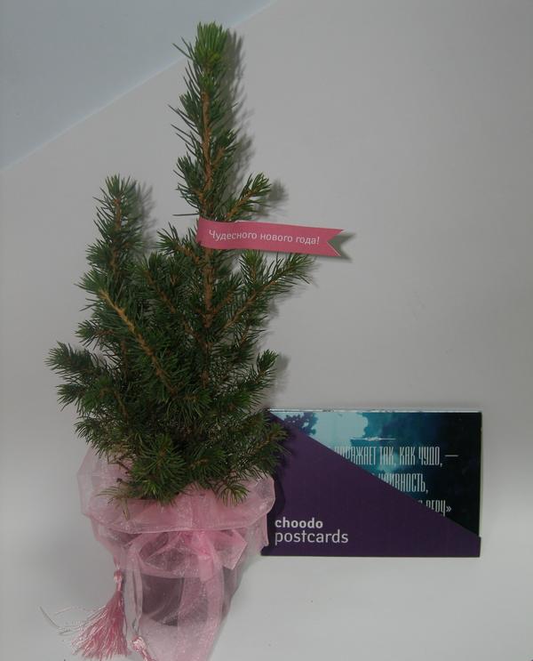 4oodo's tweet photo. Вот такие #4oodo подарочки мы дарим нашим любимым клиентам !) http://t.co/iJOIZtGt