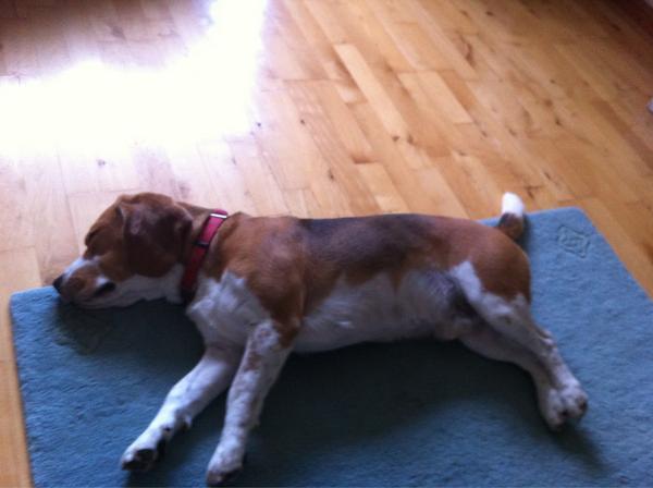 Keith Donnelly tweet media