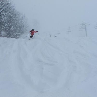 Edelweiss Ski Patrol tweet media